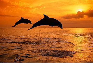 《夏洛克·福尔摩斯：觉醒》评分出炉 IGN 5分